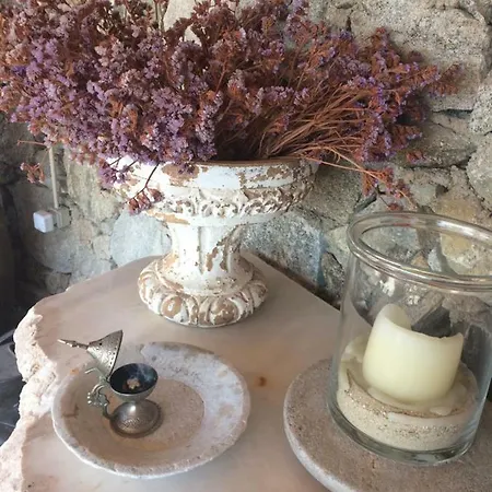 Beachfront Mykonos Apartamento *